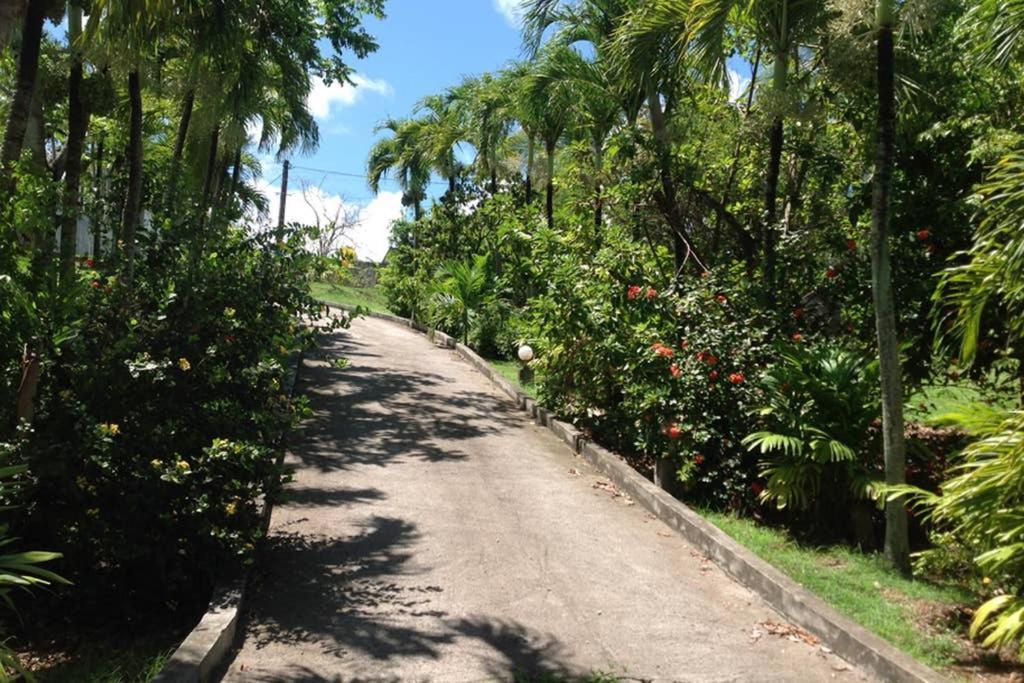 Le Domaine De Boisvin Villa Sainte-Anne  Exteriör bild